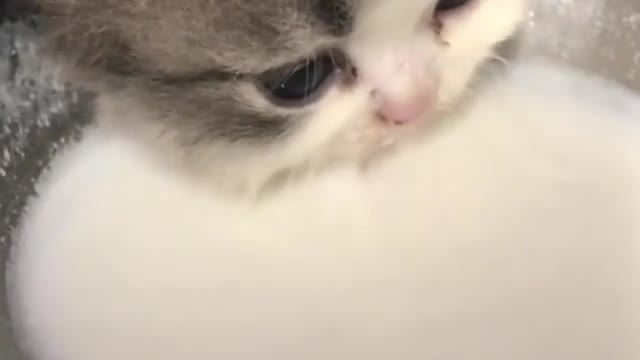 I drink milk