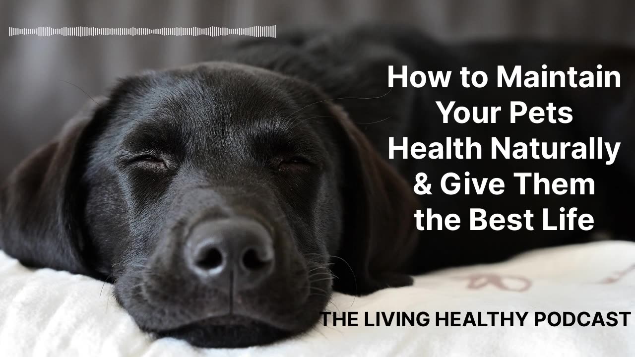 How to Maintain Your Pets Health Naturally and Give Them the Best Life