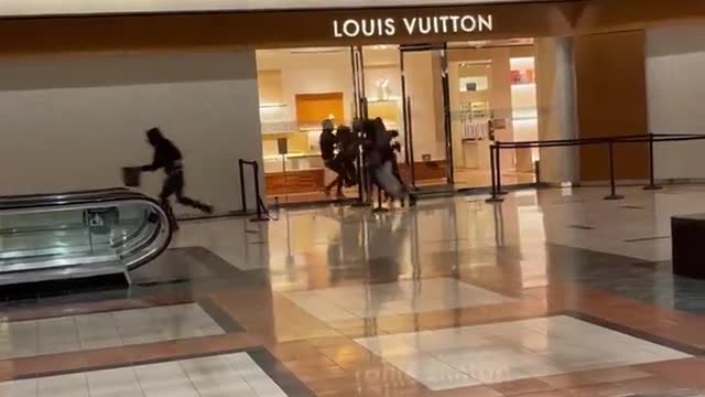 Louis Vuitton Chicago Free Shopping Bonanza 🟠⚪🟣 The NPC Show