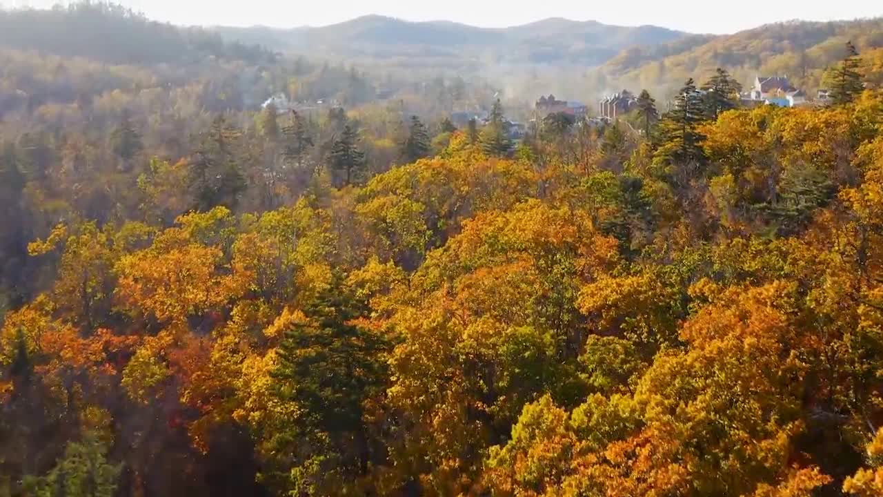 Enchanting Autumn Forests with Beautiful Piano Music