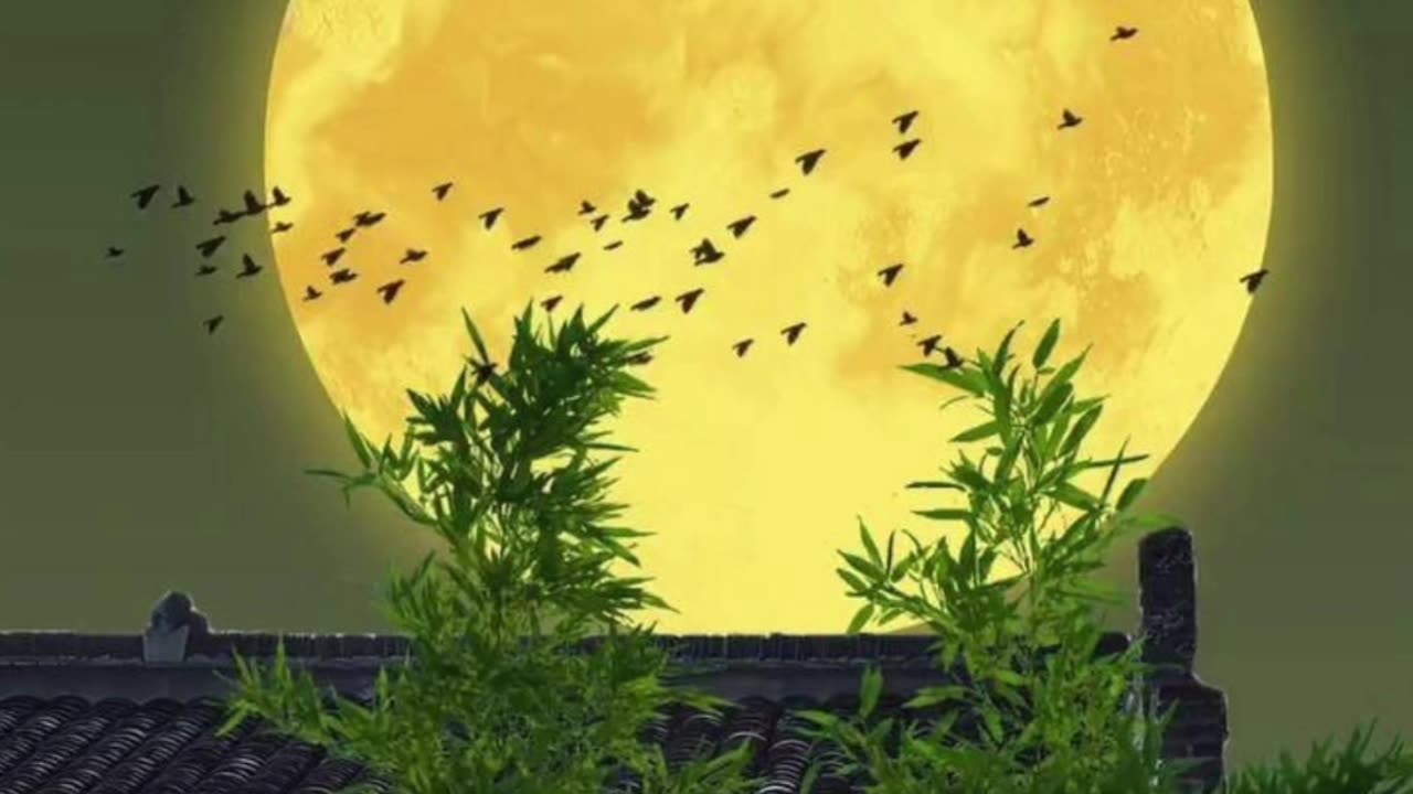 Unique wallpapers with music