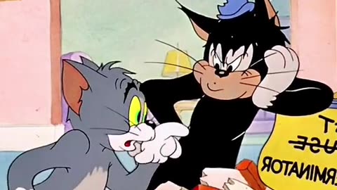 Tom and Jerry funny videos