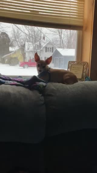 Playtime for 1 of them