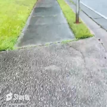 Little rain showers can’t stop us! #shorts