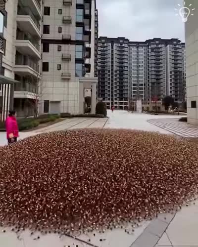 Trying the domino effect with thousands of lipsticks 💄