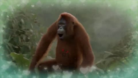 Monkey dance