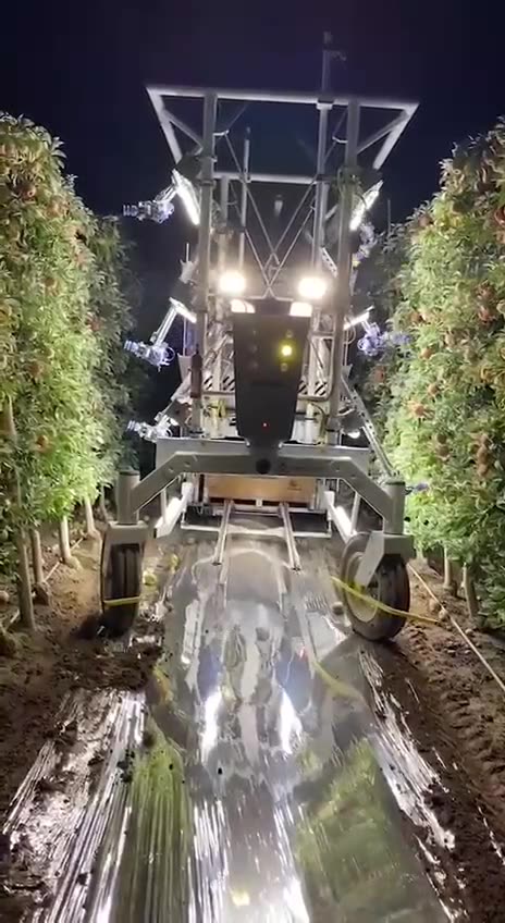 Advanced Farming robotic apple harvester can pick 30 apples in one minute.
