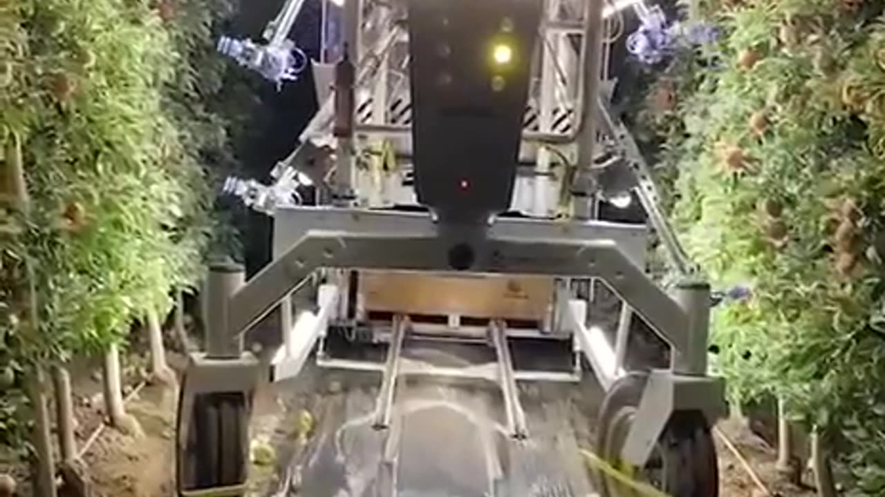 Advanced Farming robotic apple harvester can pick 30 apples in one minute.