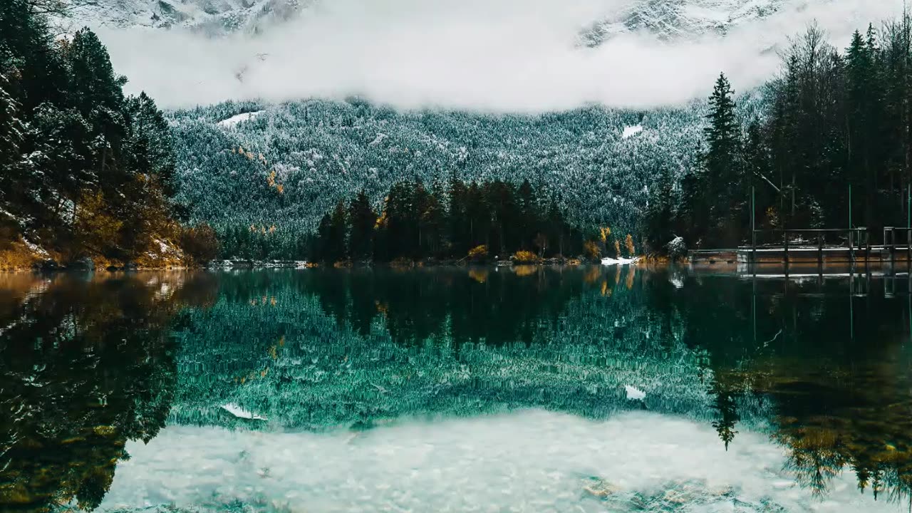 Ambient River with Birds
