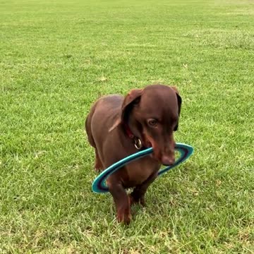 Synchronicity 🤣🤣