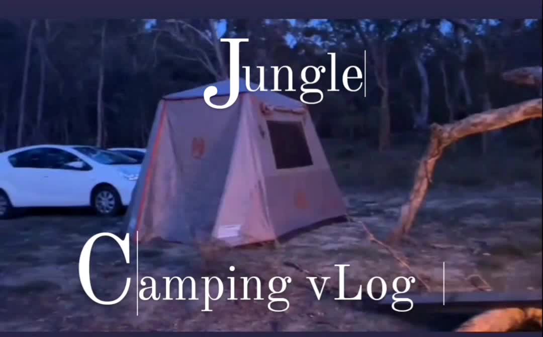 Camping in Australia || Scary Forest ||A Day Out With Friends || Camping with Friends #camping#2022