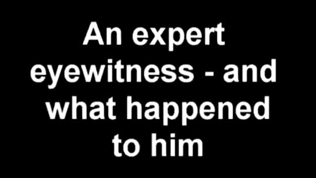 A expert witness and what happened that day