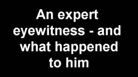 A expert witness and what happened that day