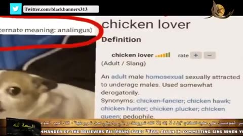 ~Pizzagate 2~