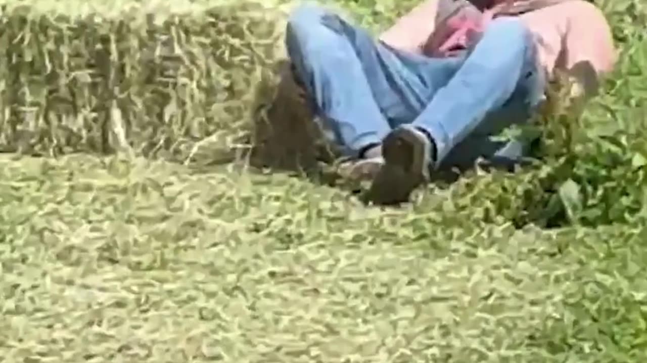 The end 😂😂😂 #funny #fails #shorts #reels #viral #humorexpose