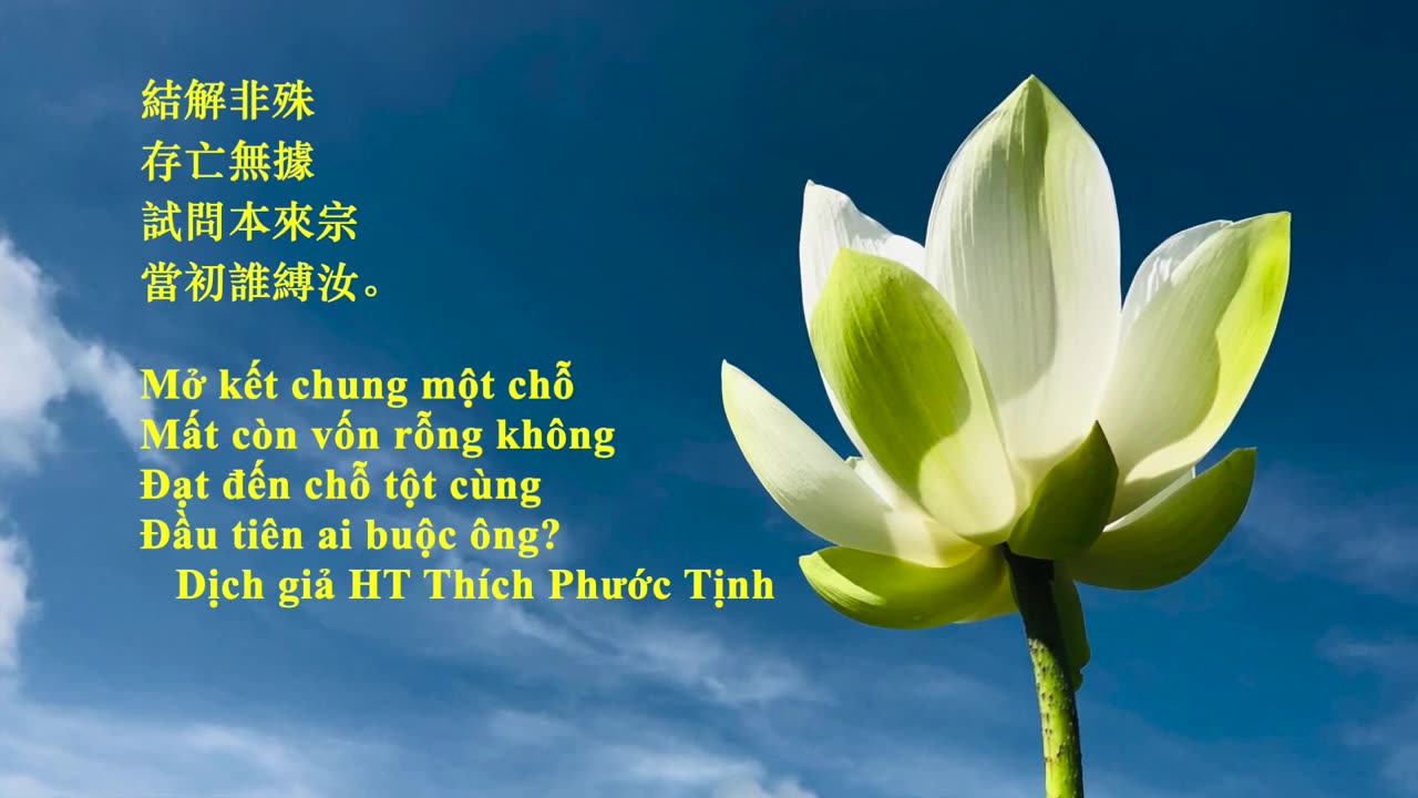 CHÍNH LÀ ANH 07_It is you