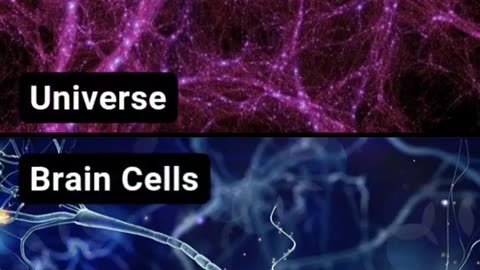 The universe is within us