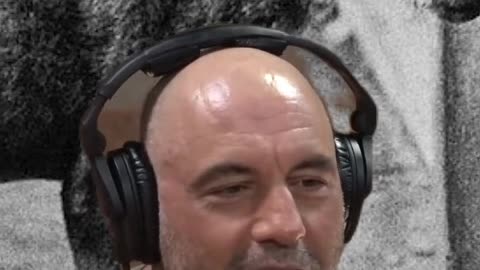 Joe Rogan & Forrest Galante Blender Compilation