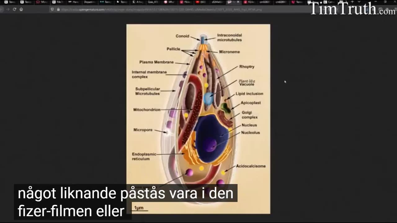 # 1250 - Är detta orsaken till allt elände? SVENSKTEXTAT