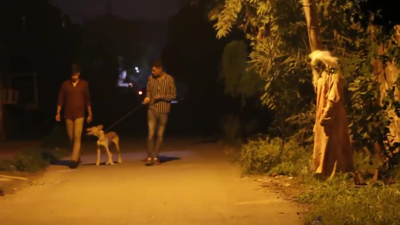 SCARY NIGHT GHOST PRANK ON DOG AT 2-AM - PRANK IN PAKISTAN - #vidiQ #shorts #Hashtags #BestYouTubeChromeExtension #MoreViews @viral @2024