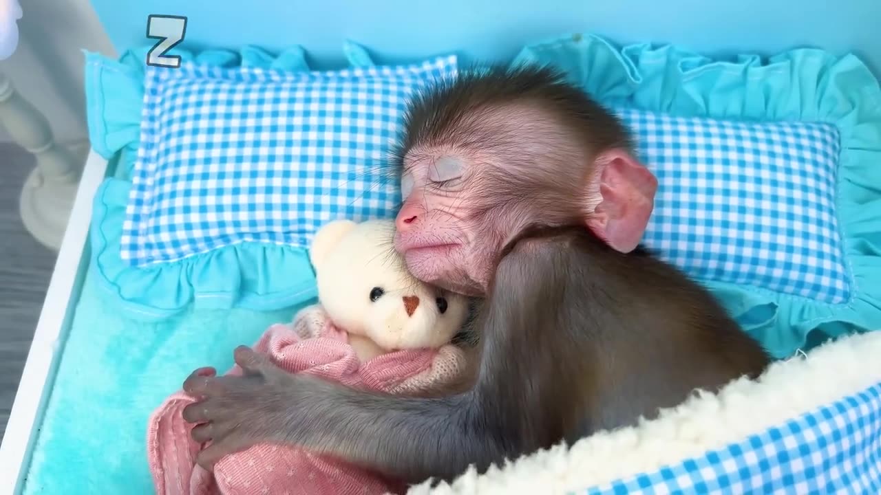 Money baby naughty comedy