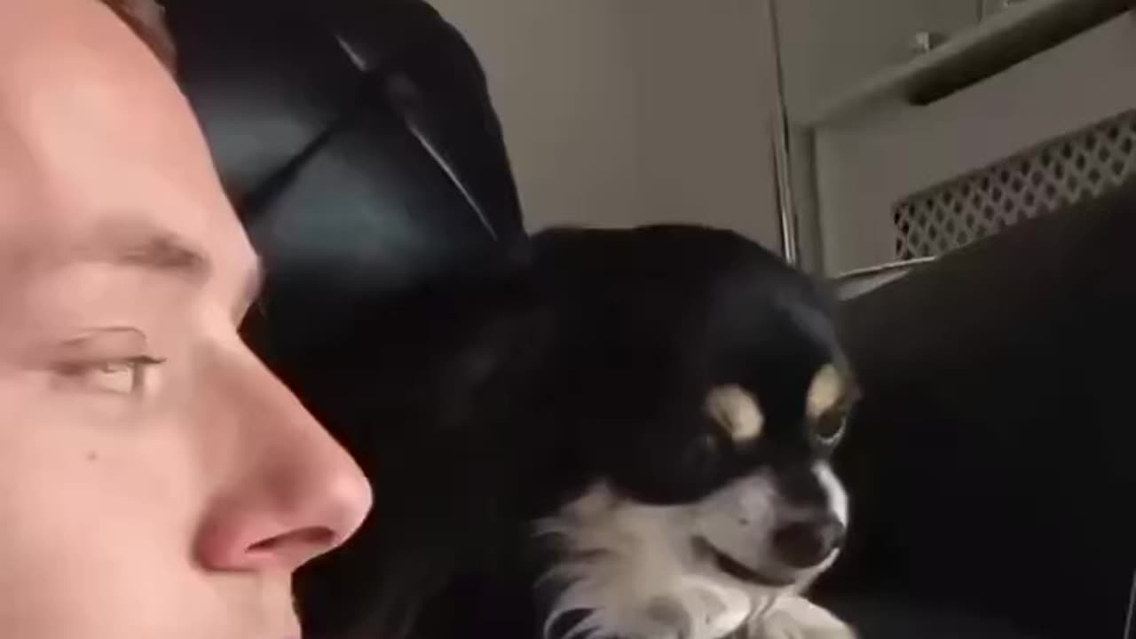 Owner and dog🥺😂
