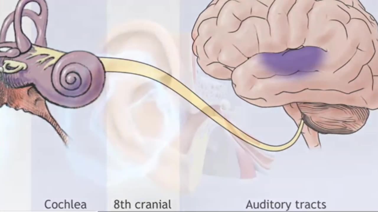 Your hearing system reveals design