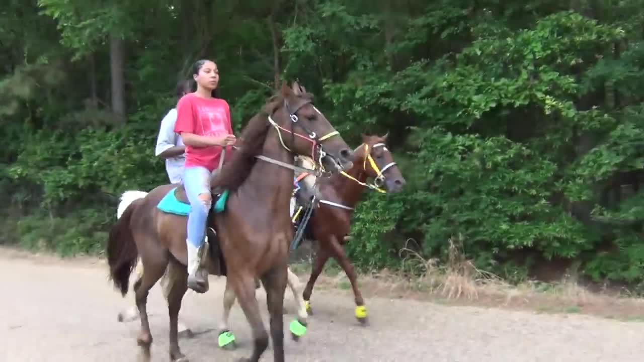 "BIG" Front Action Ryders Annual Walking Horse Trail Ride in Ogden, Arkansas-13