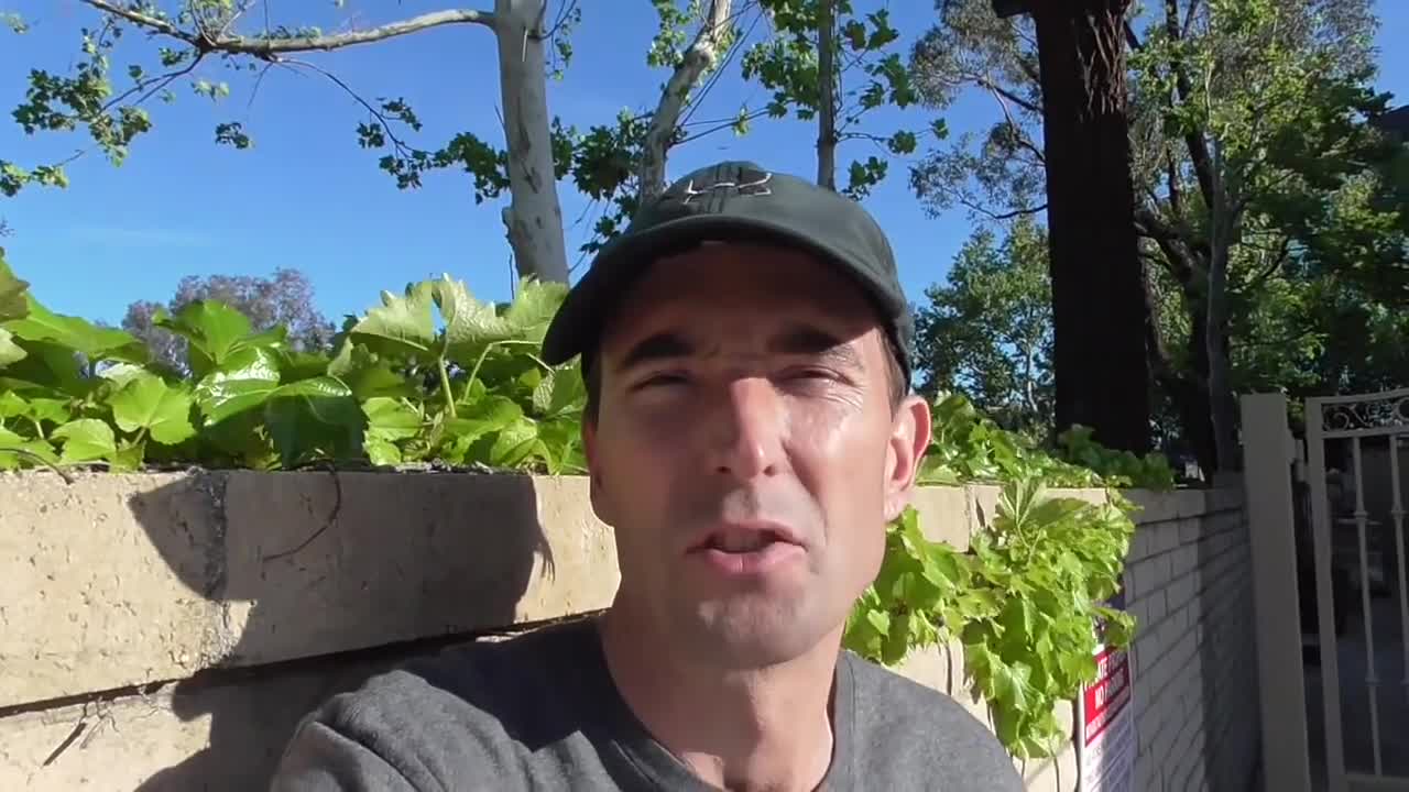 234. Alien Reptilian Legacy! Feature - Out Now!!!