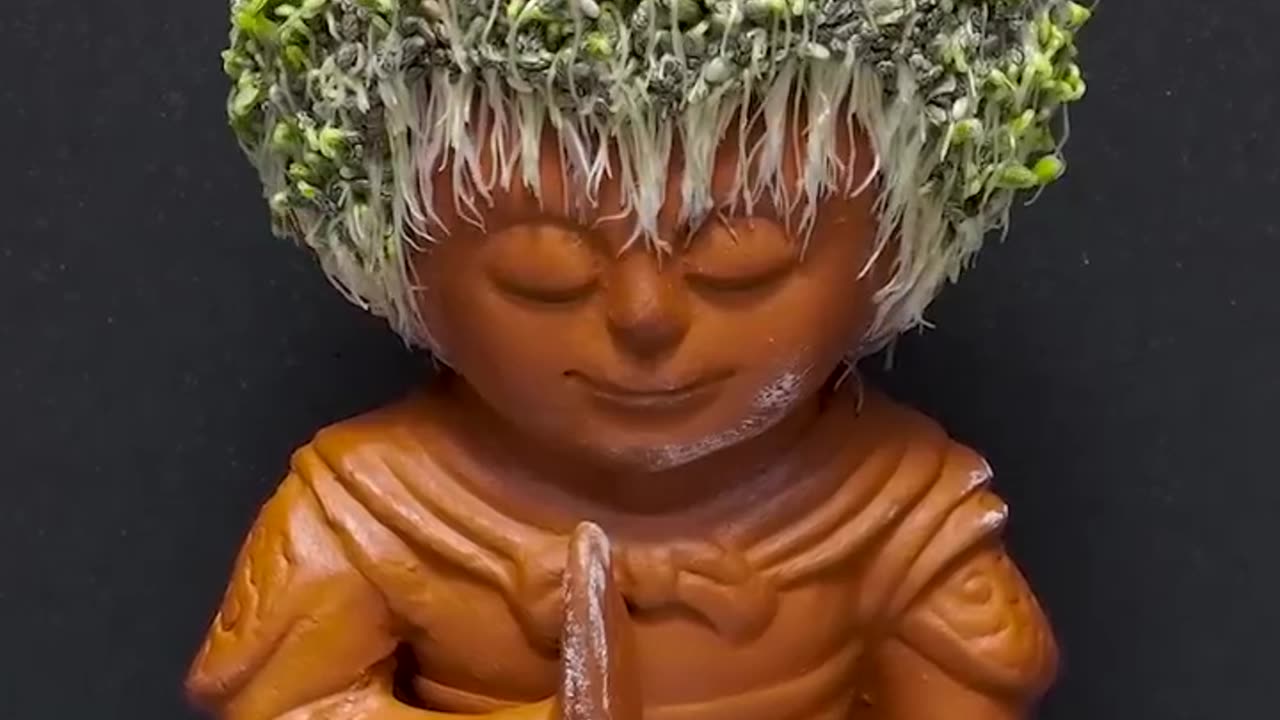 Chia pet - monkey king