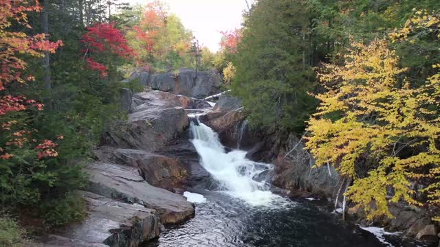 Calm through forest waterfalls