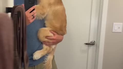 WATCH THIS PUPPY'S 10 MONTH TRANSFORMATION