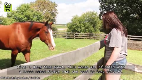 Animals Reunited With Owners After Years!