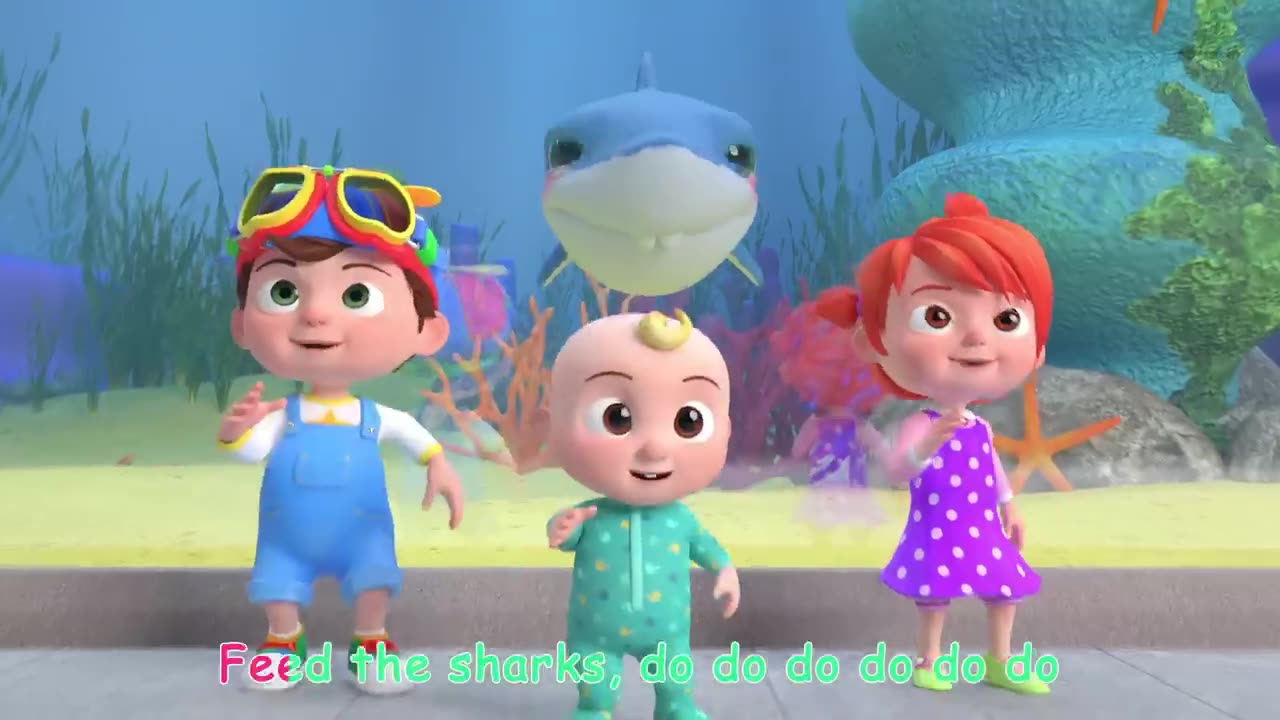 Baby shark adoo dooi