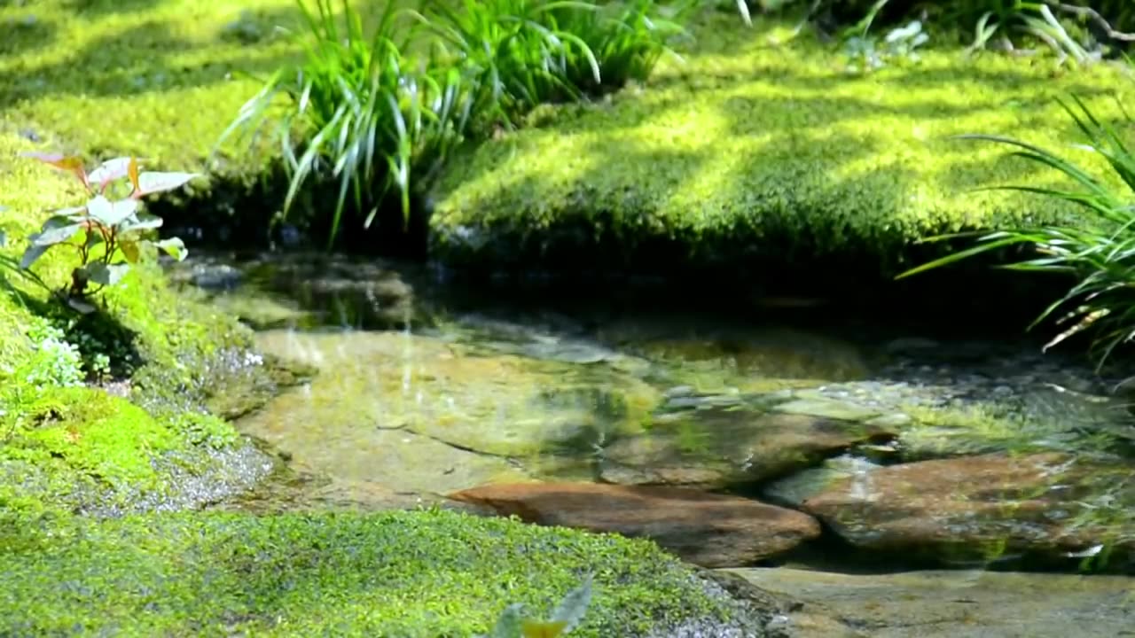 Village Water Stream ] Calm Meditation