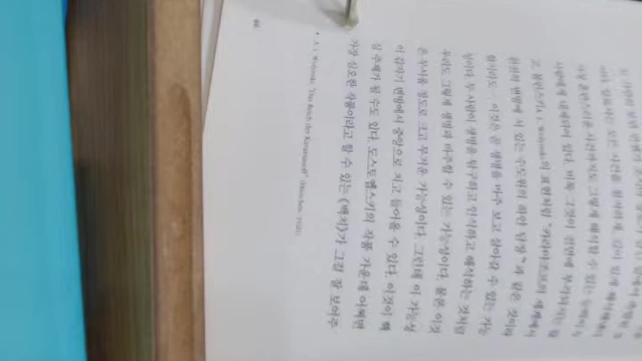 도스토옙스키 지옥으로 추락하는 이들을 위한 신학,에두아르트,투르나이젠,지옥여자들의여왕,알료사, 짐승,미챠카라마조프,무의식,고양이,그루셴카,담홍색, 라스콜리니코프,문지기,백치