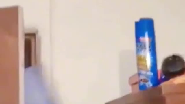 Fun