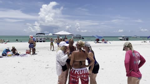 Cat fight at the beach