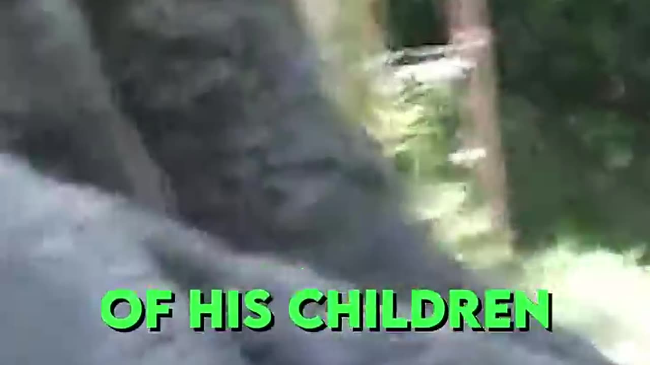 THIS IS HAOKO A GORILLA DAD