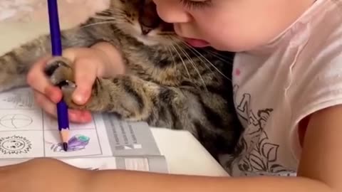 Funny animal video |funny video| try not to laugh 2023