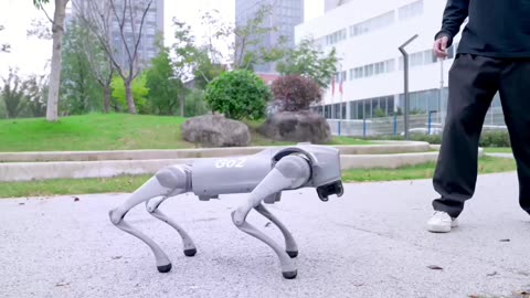 Meet the Future Humanoid and Quad Robots in Action!