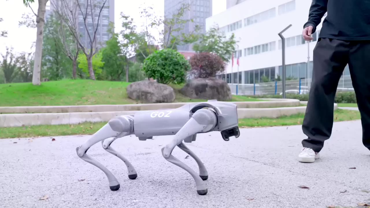Meet the Future Humanoid and Quad Robots in Action!