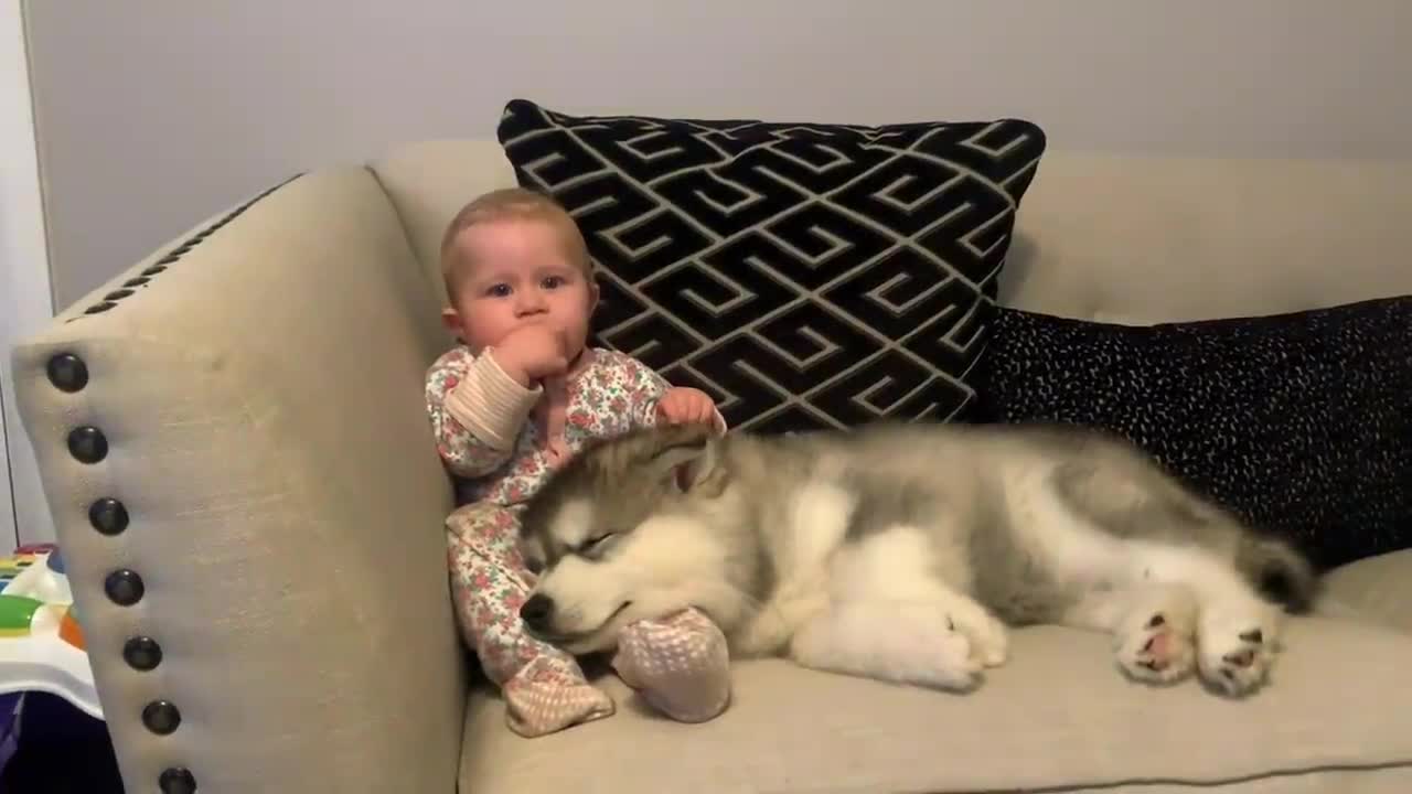 The Best Year Of Our Lives! Baby And Puppy Growing Up Together! (Cutest Ever!!)