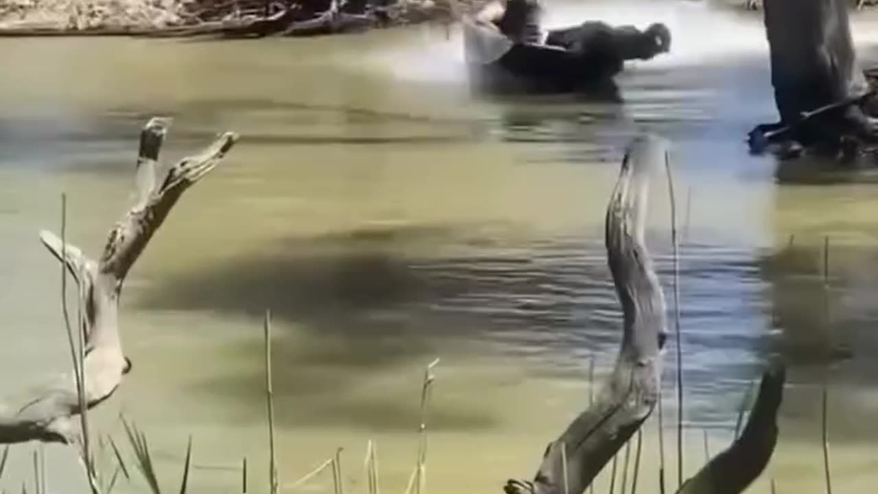 Funny