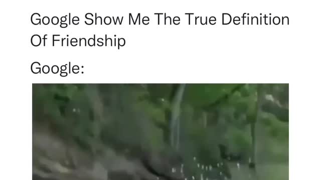 Best Friend 100%