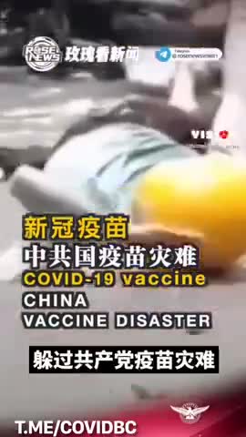 NEUROLOGICAL REACTIONS TO THE VACCINE - A SHORT COMPILATION.