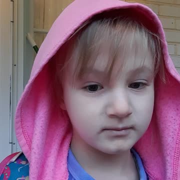 Kangaroo and a Snake