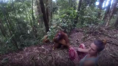 Ape Grabs Young Woman & Refuses To Let Go 😱🦧_Cut