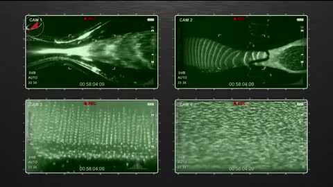 Russian Plasma Experiments in Microgravity