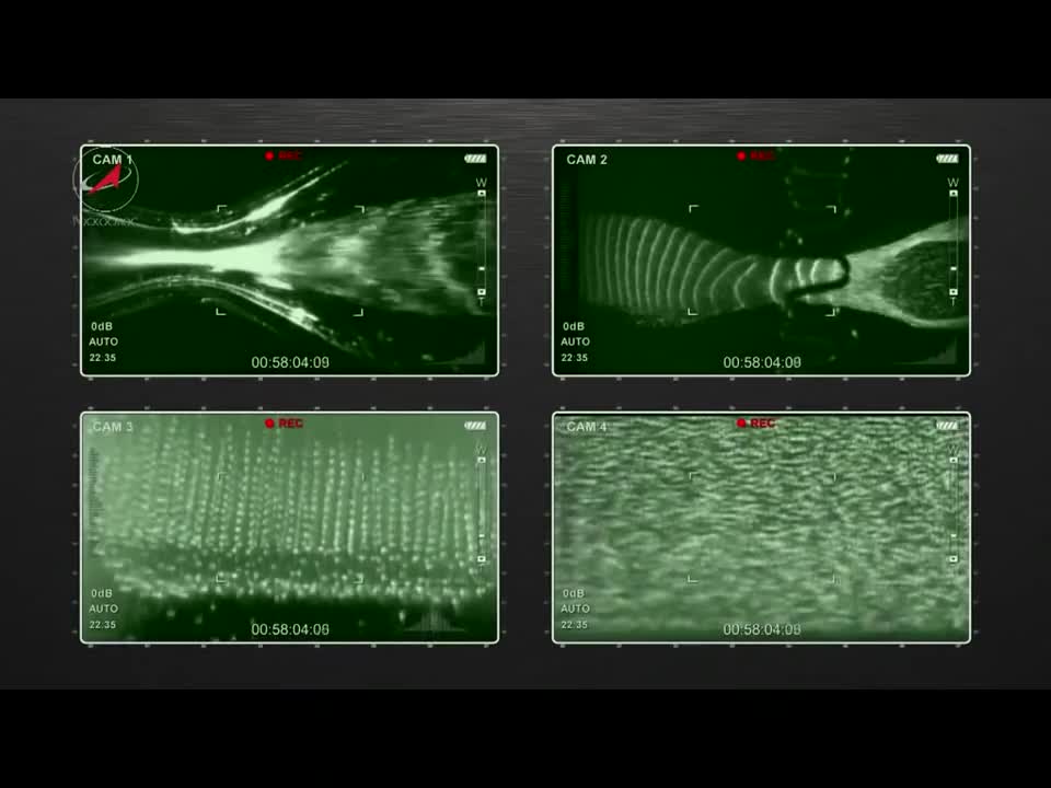 Russian Plasma Experiments in Microgravity